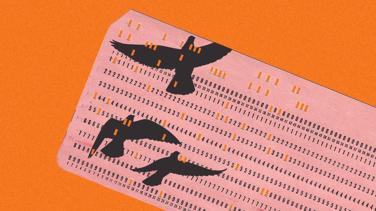 An illustration depicts black birds on a pink scantron test sheet against an orange background.