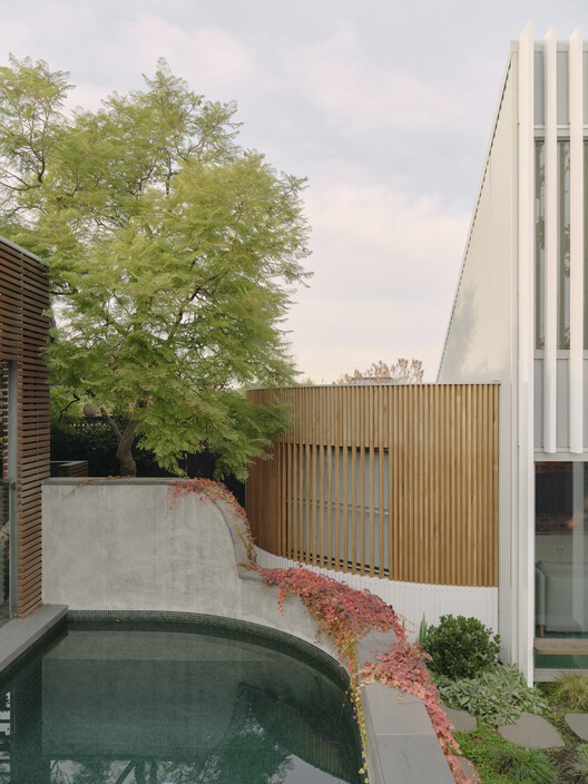 Hawthorn I Studio / Agius Scorpo Architects - Exterior Photography, Garden, Courtyard