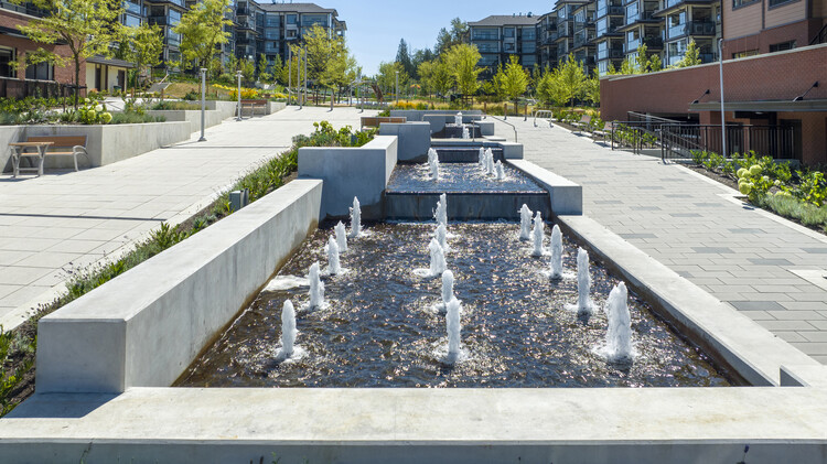 Carvolth Integrated Open Space - Goldenview Park / PMG Landscape Architects - Exterior Photography, Waterfront, Garden