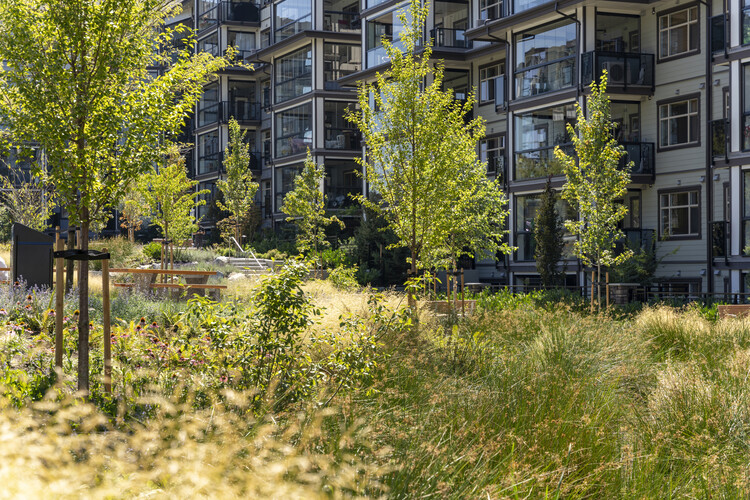 Carvolth Integrated Open Space - Goldenview Park / PMG Landscape Architects - Exterior Photography, Windows, Garden