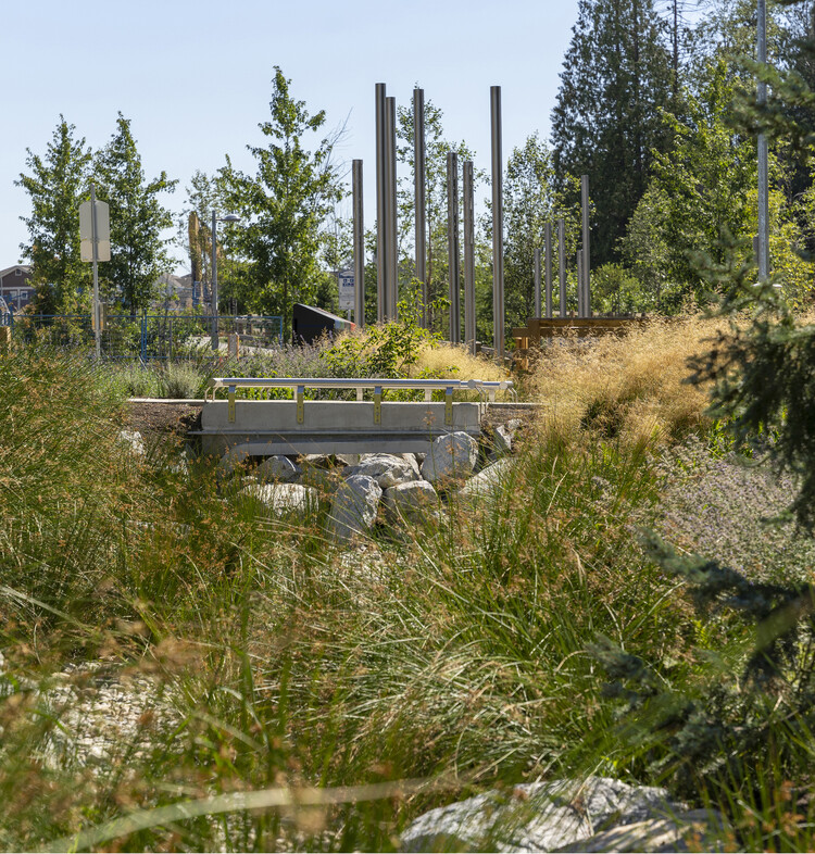 Carvolth Integrated Open Space - Goldenview Park / PMG Landscape Architects - Exterior Photography, Forest, Garden