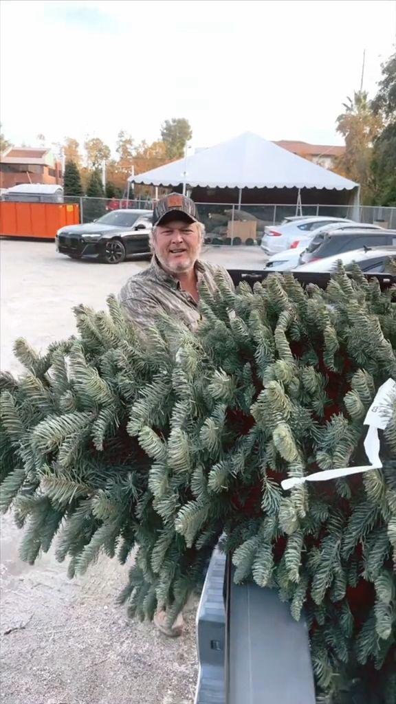 Blake getting the tree into the van