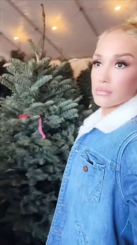 Gwen gets the Christmas tree up