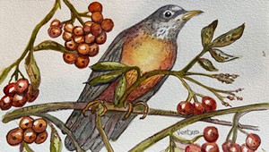 Watercolorist celebrates local bird fest with bird-themed art classes