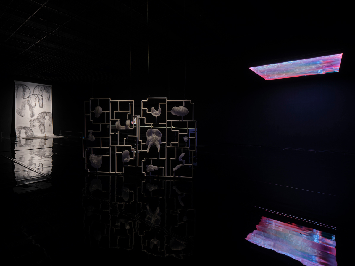 Installation view of a museum exhibition showing various artworks in a dark-lit room.