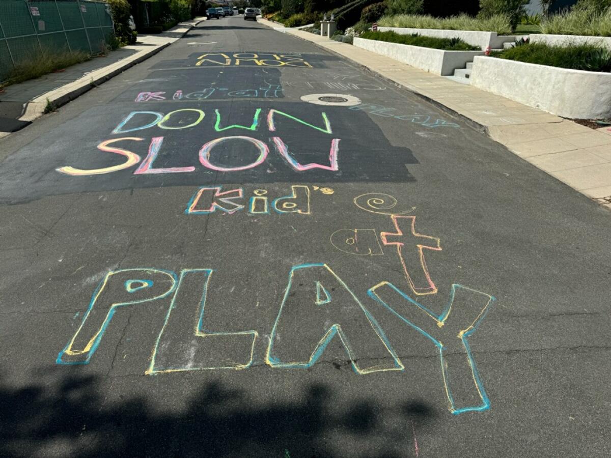 This is one of Bird Rock resident Nicole Hadfield's most recent chalk drawings urging drivers to slow down.