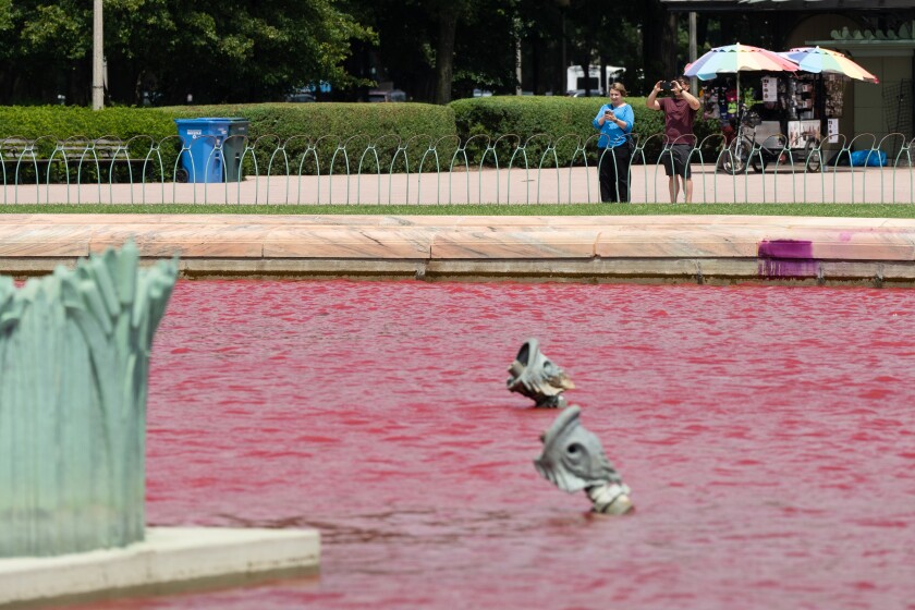 People take pictures of red water in the Buckingham Fountain, which had been reportedly vandalized Saturday morning, June 22, 2024. | Pat Nabong/Sun-Times